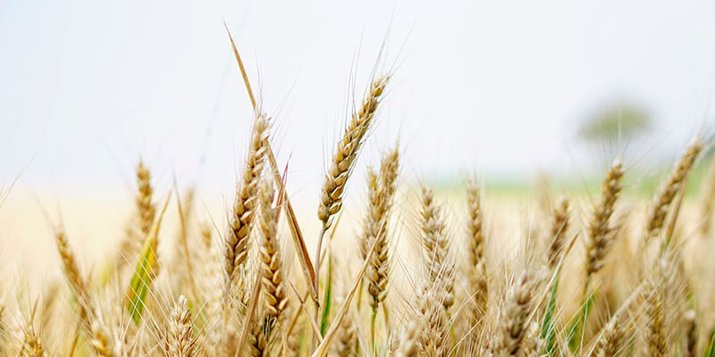 можно ли смешивать гербициды между собой. Смотреть фото можно ли смешивать гербициды между собой. Смотреть картинку можно ли смешивать гербициды между собой. Картинка про можно ли смешивать гербициды между собой. Фото можно ли смешивать гербициды между собой можно ли смешивать гербициды между собой. Смотреть фото можно ли смешивать гербициды между собой. Смотреть картинку можно ли смешивать гербициды между собой. Картинка про можно ли смешивать гербициды между собой. Фото можно ли смешивать гербициды между собой